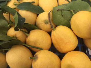 15e9dc012d75ff3fe9bfb24e228a4521-1