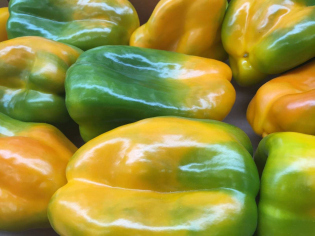 40ee2aafef35d50f3d54bd45e35511cb