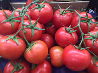 8276d6c8c69c65d824614520d2411faa