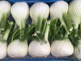 8c39b2aa465fe7719d2cfddc01ec7920